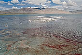 Ladakh - Tso-Kar, white salt deposits contrast with the blue of the lake waters. 
